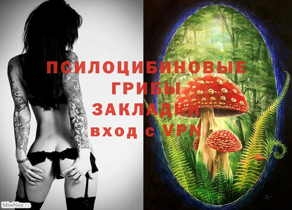 первитин Армянск